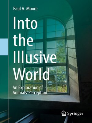 cover image of Into the Illusive World